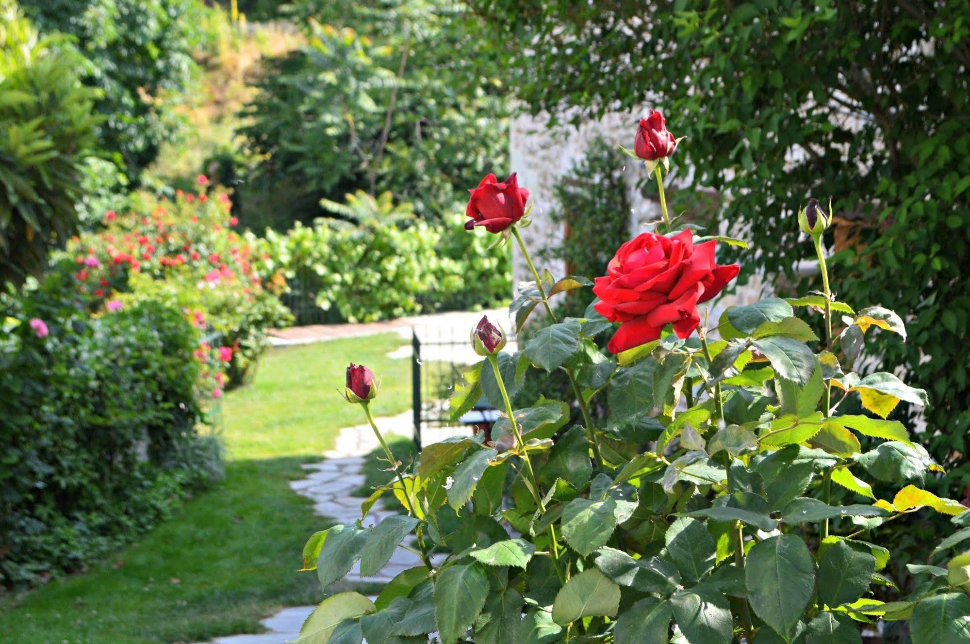 Triantafillies Guesthouse 포르테리아 외부 사진