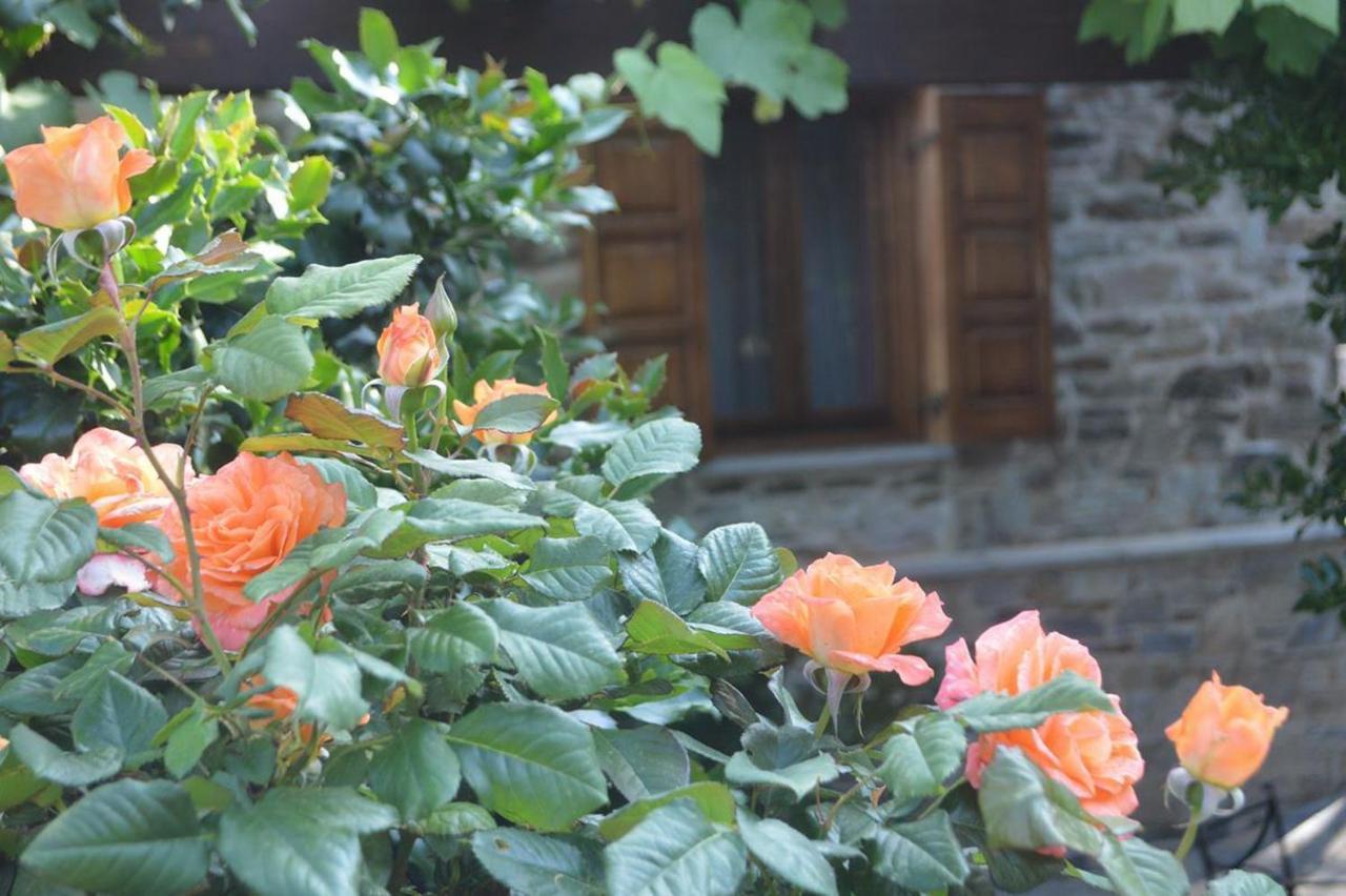 Triantafillies Guesthouse 포르테리아 외부 사진